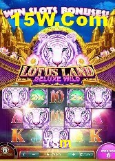 Casino VIP 78m